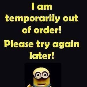 Meet your Posher, Deedee